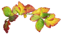 jesienne liście - nemokama png