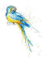 blau gelb gemalter vogel