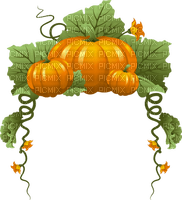 Cadre Halloween citrouille - darmowe png