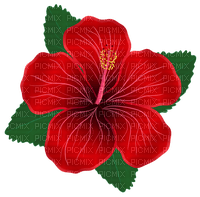 Red flower  Bb2 - Free PNG