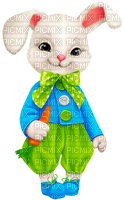 Bunny.Rabbit.Carrot.White.Blue.Green.Pink.Orange - bezmaksas png