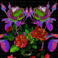 rózsák - Darmowy animowany GIF