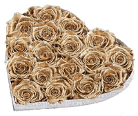 Heart Shaped Gold Roses, white box, png