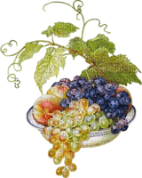 grapes Bb2 - besplatni png