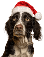 Christmas.Dog.Noël.Chien.Victoriabea - Free PNG