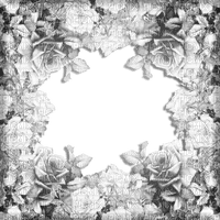 Roses frame b&w - kostenlos png