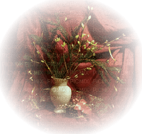 minou52-Natale-fiori in vaso-jul-blommor