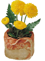Bloemen en Planten - δωρεάν png