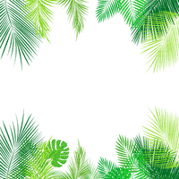 Tropical.Leaves.Frame - Free PNG