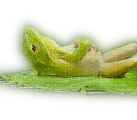 FROG RELAXING ON LILYPAD - δωρεάν png