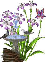 Flowers purple bp - Besplatni animirani GIF