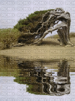landscape bp - Δωρεάν κινούμενο GIF