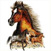 horse. horses bp - kostenlos png