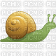 snail - Bezmaksas animēts GIF