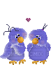 oiseaux amoureux - GIF animado gratis