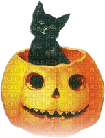 soave halloween cat pumpkin black vintage  orange - 免费PNG