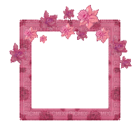 Small Pink Frame - Free animated GIF