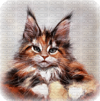 cat katze milla1959 - Безплатен анимиран GIF