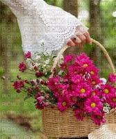 Kosz kwiatów - gratis png