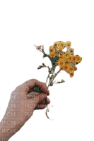 hands flower - PNG gratuit