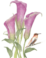 MMarcia flores aquarela fleurs aquarelle - png gratuito