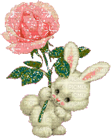 Petit lapin à la rose - Zdarma animovaný GIF
