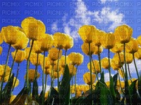 Tulips - δωρεάν png