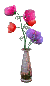 pretty flowers - Gratis animerad GIF