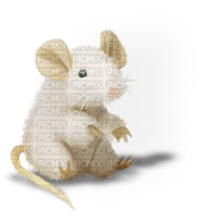 Kaz_Creations Mouse - bezmaksas png