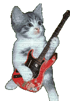 chat musicienne - Besplatni animirani GIF
