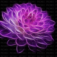 MMarcia gif flores fleur lilas fundo - Free animated GIF