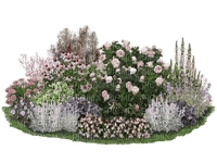 flower plant garden - бесплатно png