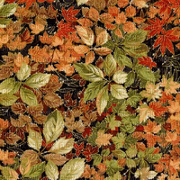 autumn animated leaves background - Бесплатный анимированный гифка