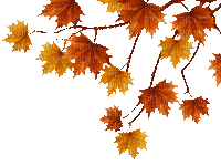 Leaves - Безплатен анимиран GIF