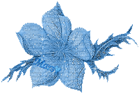 flor azul gif - GIF animé gratuit
