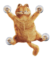 Garfield - png ฟรี