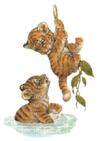 loly33 tigre - 免费PNG