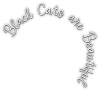 soave text black cats cat are beautiful white - бесплатно png