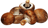 Herbst Pilze - PNG gratuit