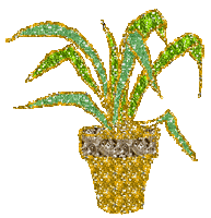 pflanze - 無料のアニメーション GIF