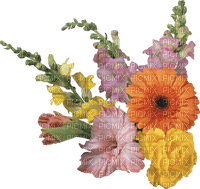 flower senz - PNG gratuit