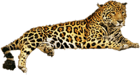 jaguar bp - бесплатно png