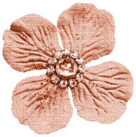 Brown Animated Flower - By KittyKatLuv65 - Besplatni animirani GIF