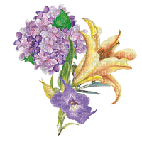 purple flowers Bb2 - 免费PNG