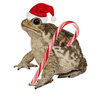 toad with candycane - ücretsiz png