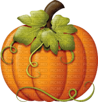pumpkin katrin - ingyenes png