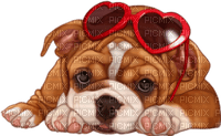 dog wearing glasses bp - zadarmo png