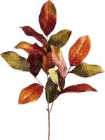 Rama de hojas de otoño - Free PNG