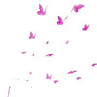 Mariposas - Бесплатный анимированный гифка
