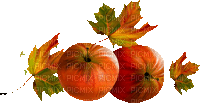 autumn/decoration - Ücretsiz animasyonlu GIF